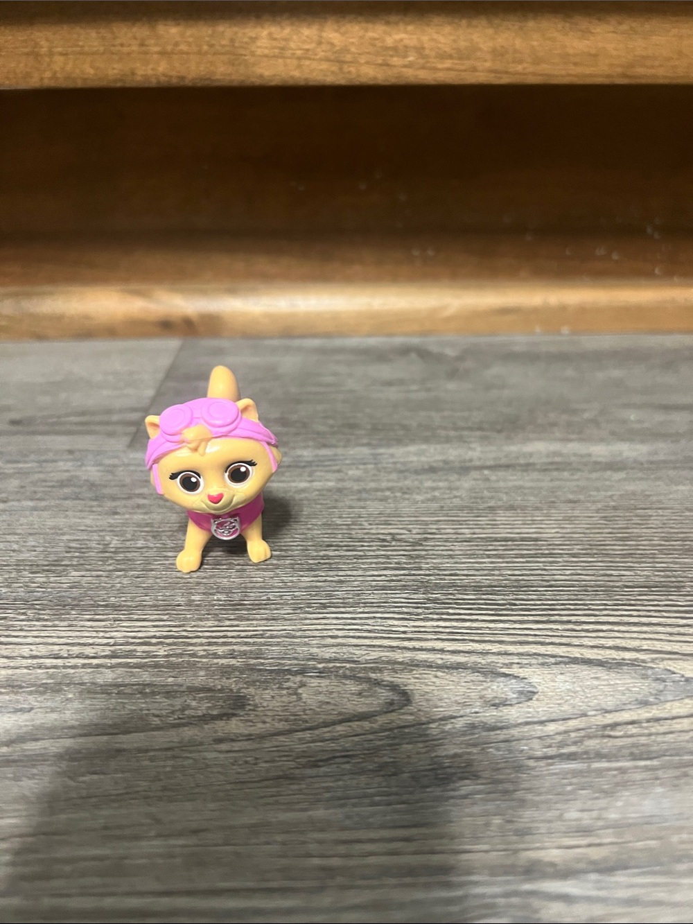 Paw Patrol Kitties - Picture 2 of 5